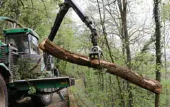 abattage-d-arbres-avec-camion-17-charente-maritime-17